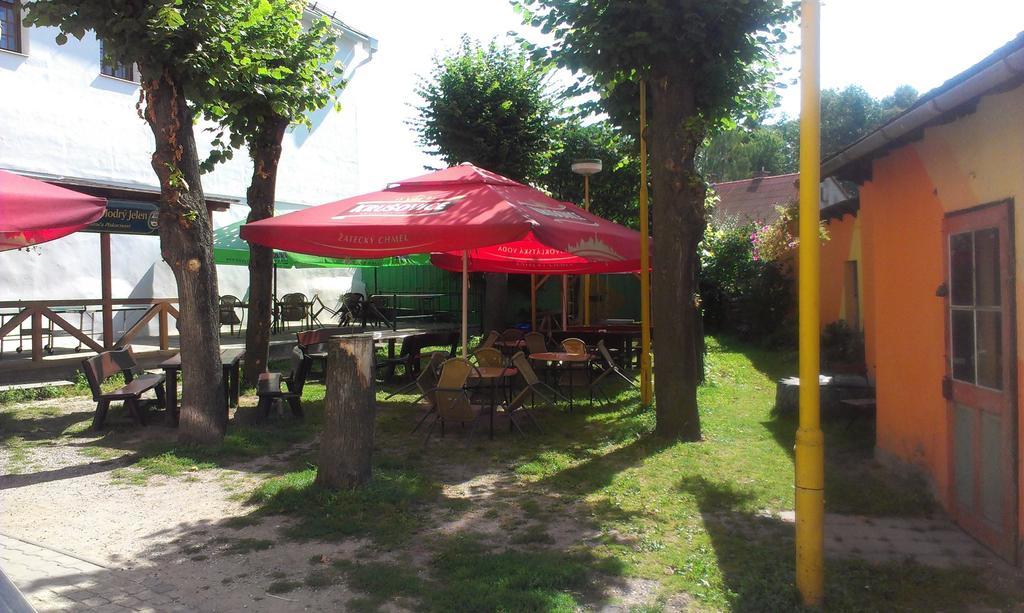 Penzion Modry Jelen Vidnava Dış mekan fotoğraf